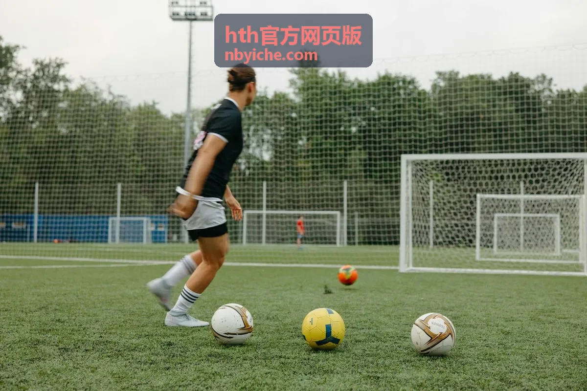 hth官方网页版进阶技巧功能展示